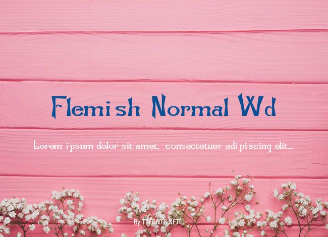 Flemish-Normal Wd example